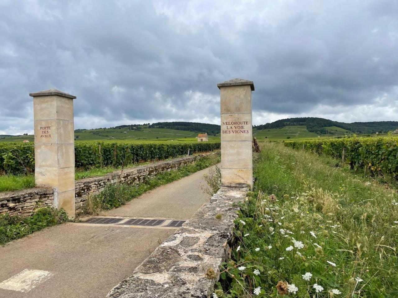 Le Jardin Des Verottes Beaune  Exteriör bild